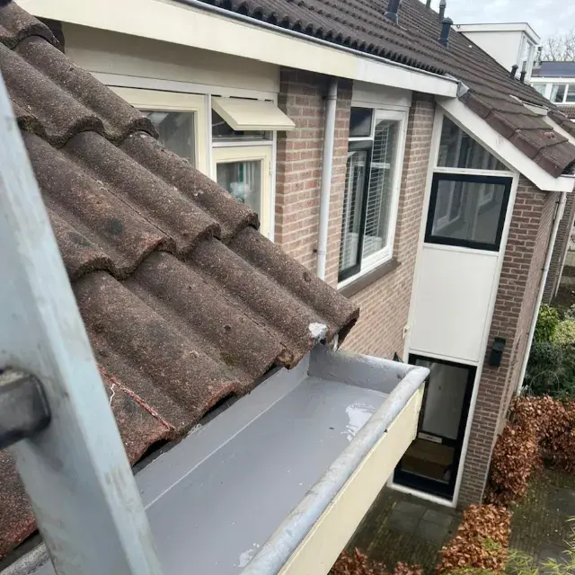 Waarom een dakgoot coaten